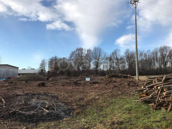 terreno agricolo in vendita a Candelo