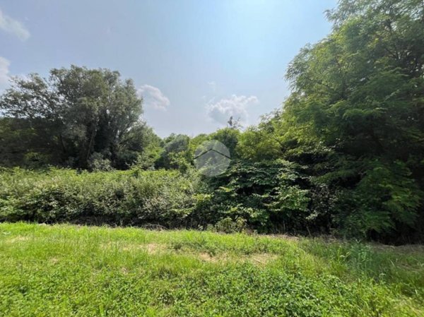 terreno agricolo in vendita a Candelo