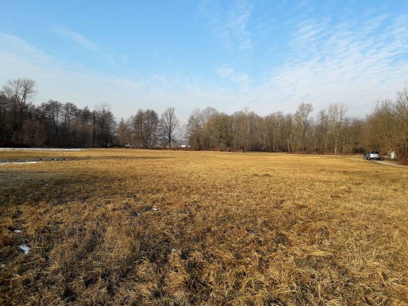 terreno agricolo in vendita a Candelo