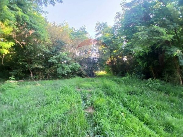 terreno agricolo in vendita a Candelo