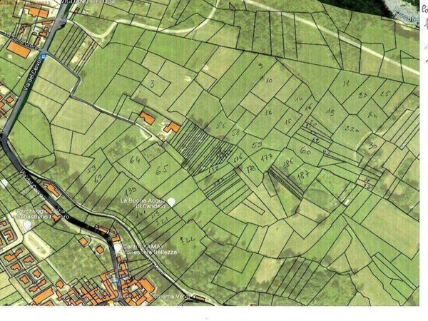 terreno agricolo in vendita a Candelo