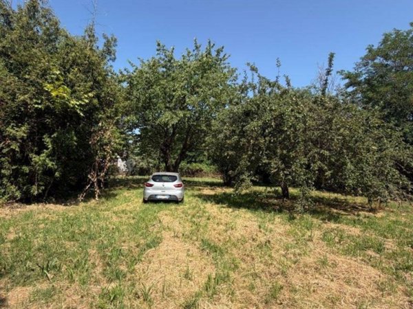 terreno agricolo in vendita a Candelo in zona San Giacomo