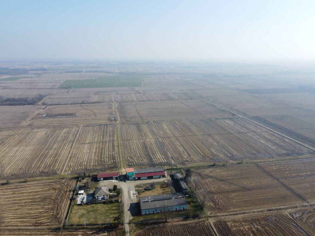 terreno agricolo in vendita a Castelletto Cervo