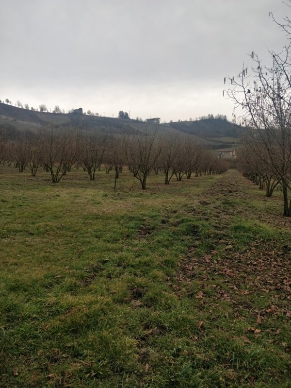 baita in vendita ad Acqui Terme