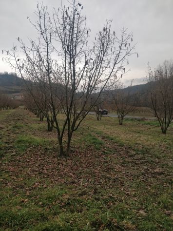 baita in vendita ad Acqui Terme