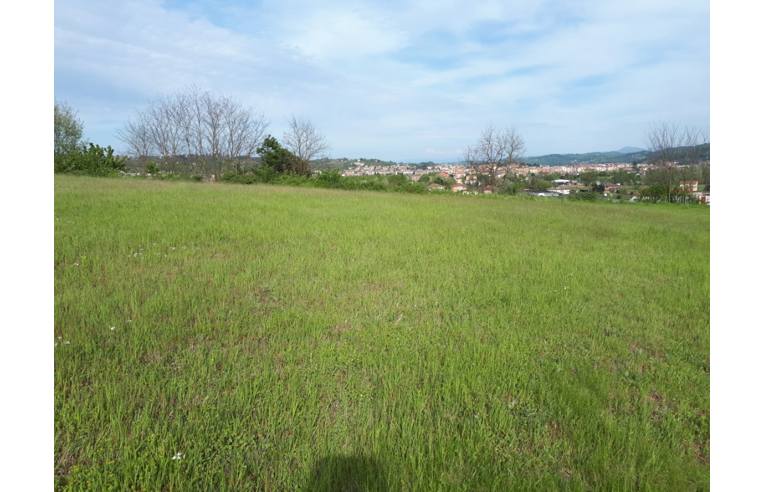 terreno agricolo in vendita ad Acqui Terme in zona Moirano