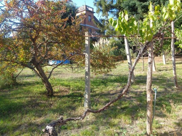 terreno edificabile in vendita ad Acqui Terme