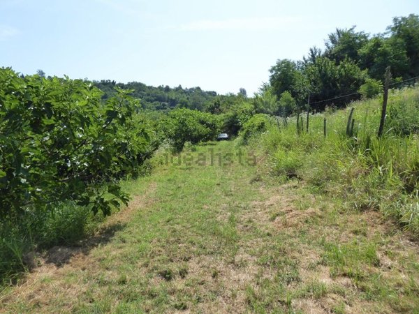 terreno edificabile in vendita ad Acqui Terme in zona Lussito
