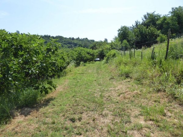 terreno edificabile in vendita ad Acqui Terme in zona Lussito