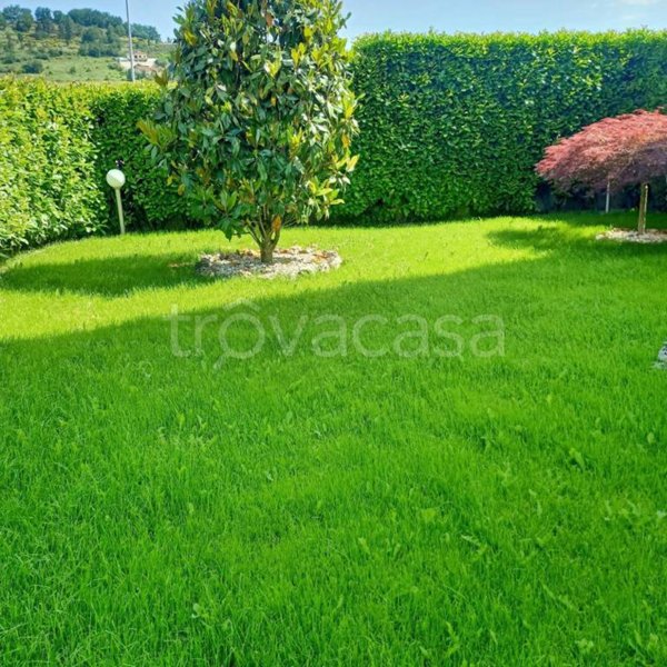 immagine annuncio 0 di 15