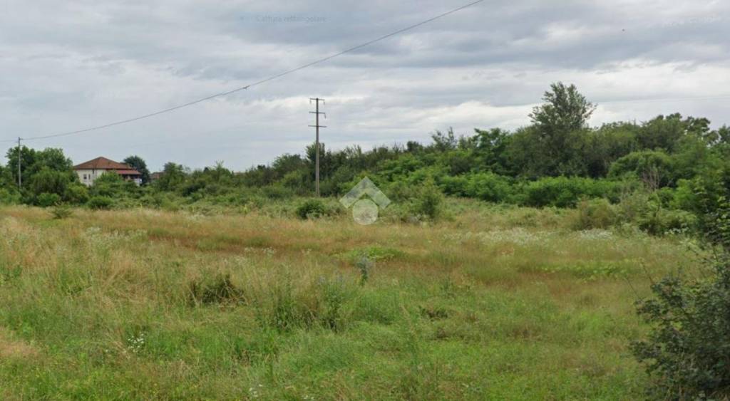 terreno agricolo in vendita a Cavaglià