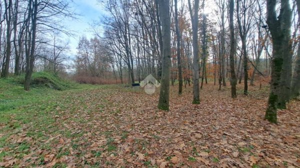 terreno agricolo in vendita a Cerrione