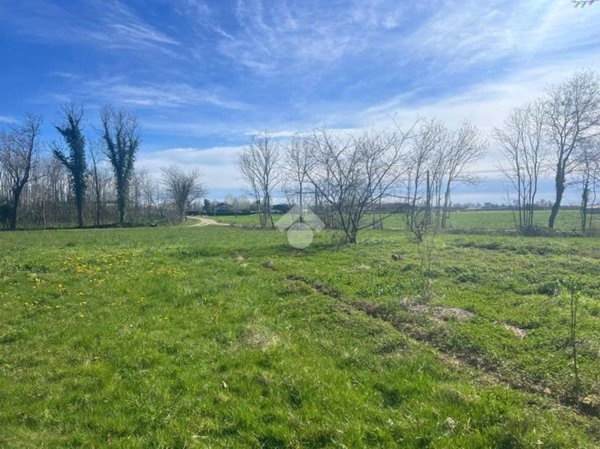 terreno agricolo in vendita a Cerrione