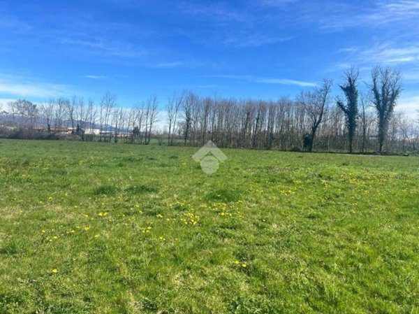 terreno agricolo in vendita a Cerrione