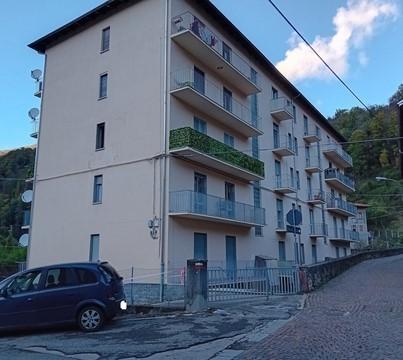 pentavano in vendita a Coggiola in zona Vico