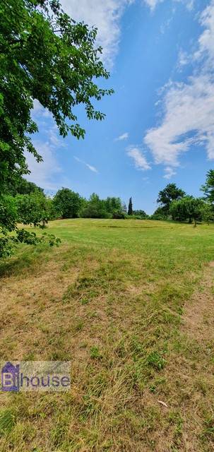 terreno agricolo in vendita a Cossato