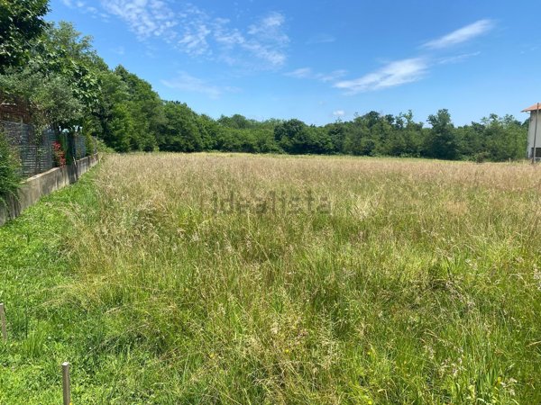 appartamento in vendita a Cossato