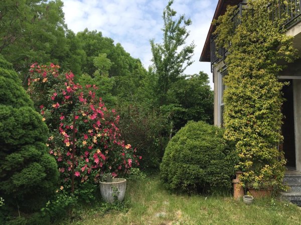 casa indipendente in vendita a Cossato