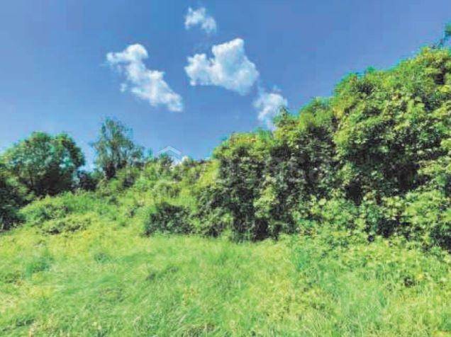 terreno agricolo in vendita a Cossato