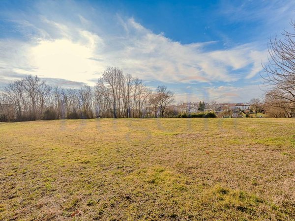 terreno agricolo in vendita a Cossato