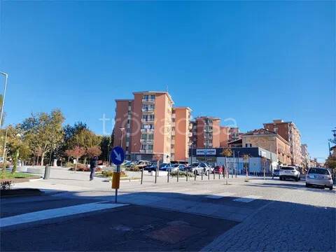 appartamento in vendita a Cossato