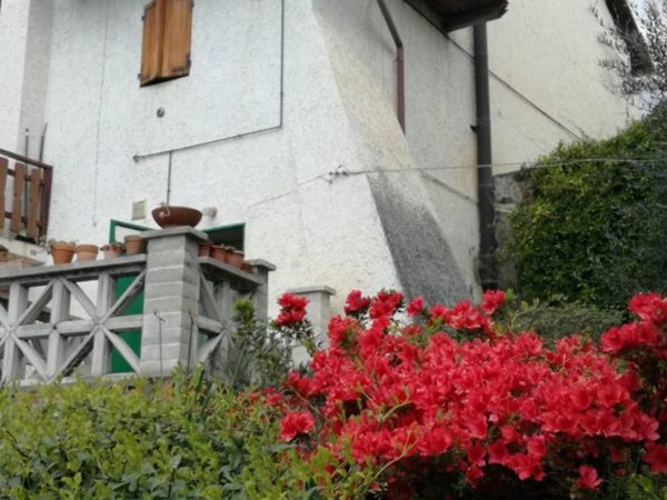 casa indipendente in vendita a Curino