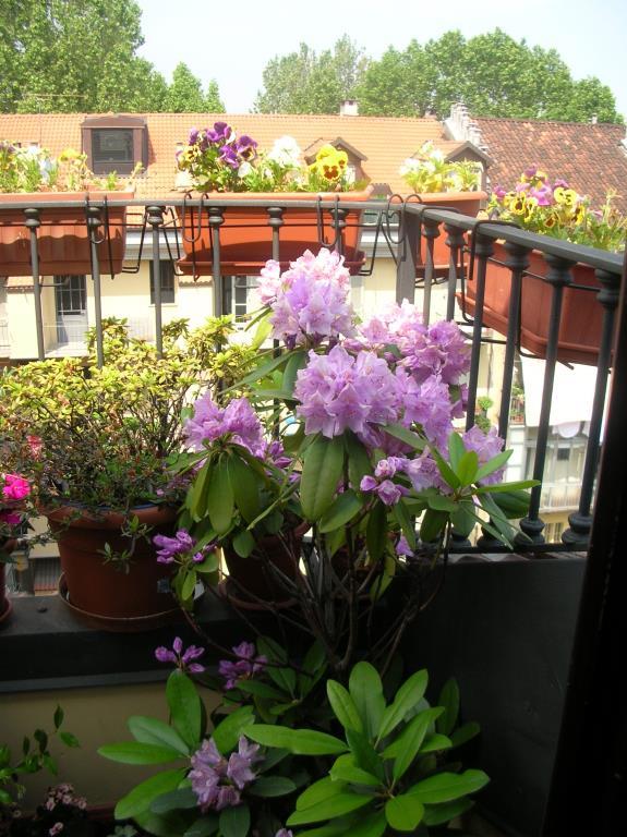 attico in vendita a Donato