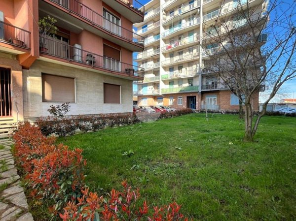 immagine annuncio 0 di 15