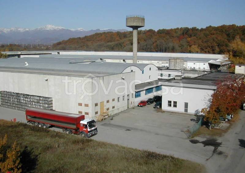 trivano in vendita a Massazza