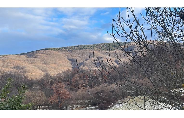 casa indipendente in vendita ad Albera Ligure in zona Figino