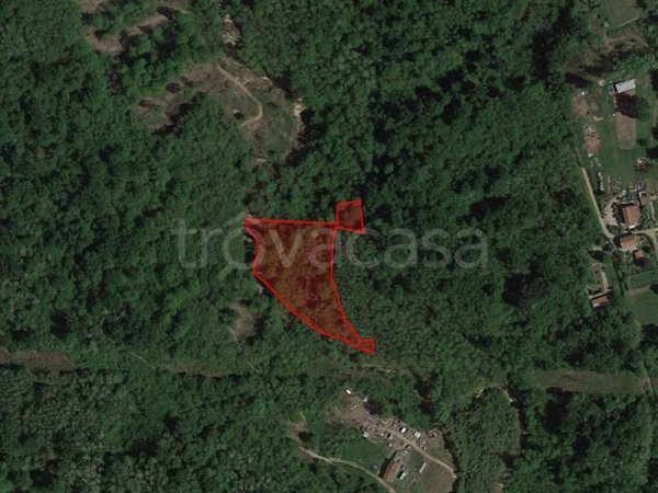 terreno agricolo in vendita a Masserano