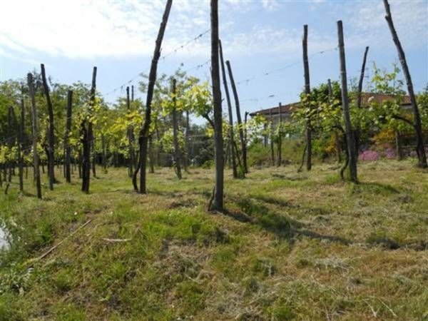 casa indipendente in vendita a Masserano