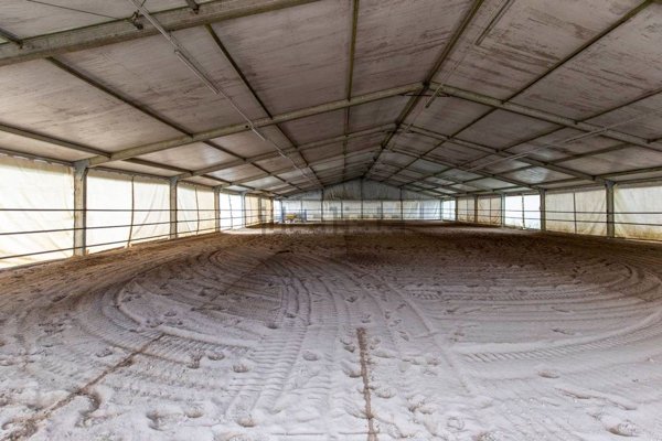 appartamento in vendita a Masserano