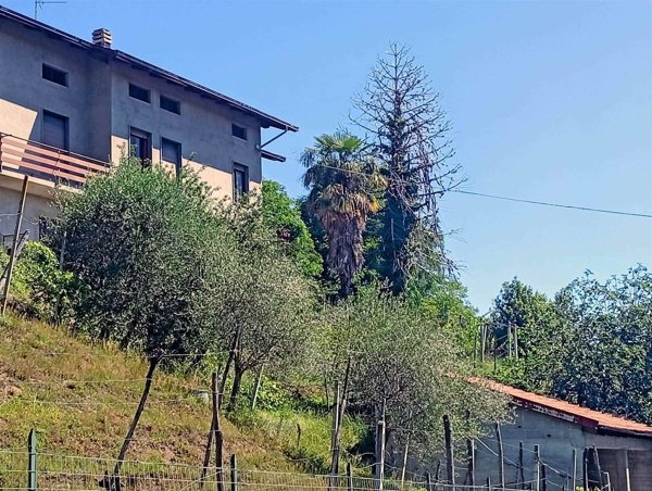 casa indipendente in vendita a Masserano