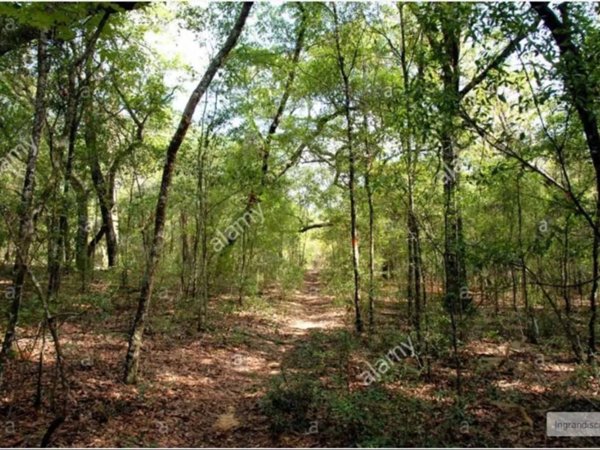 terreno agricolo in vendita a Mottalciata