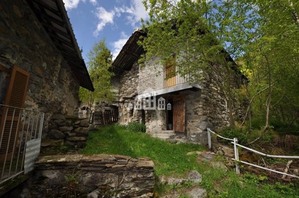 pentavano in vendita a Netro