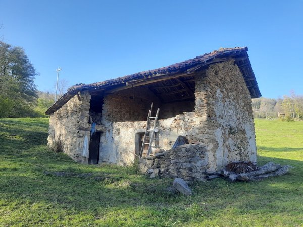 appartamento in vendita a Netro