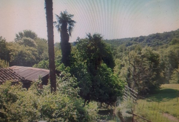 casale in vendita a Netro