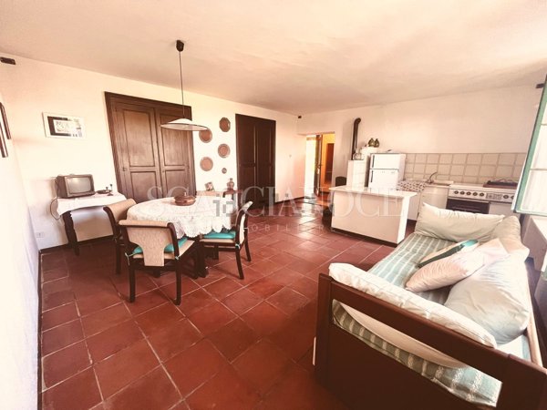 appartamento in vendita a Netro