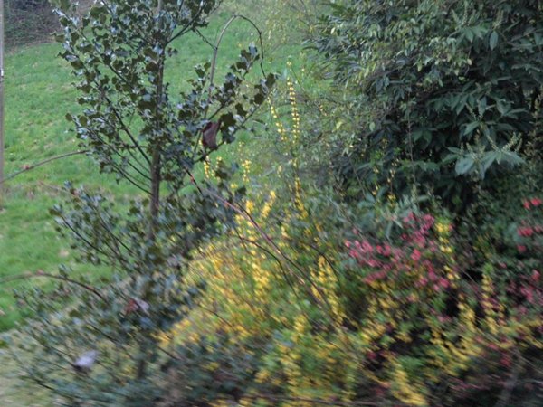 casa indipendente in vendita a Netro in zona Colla di Netro