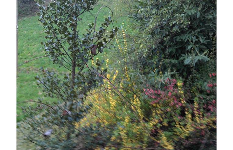 casa indipendente in vendita a Netro in zona Colla di Netro