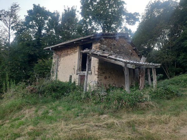 appartamento in vendita a Netro