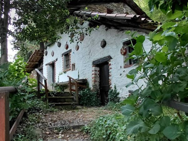 casa indipendente in vendita a Netro in zona Castellazzo