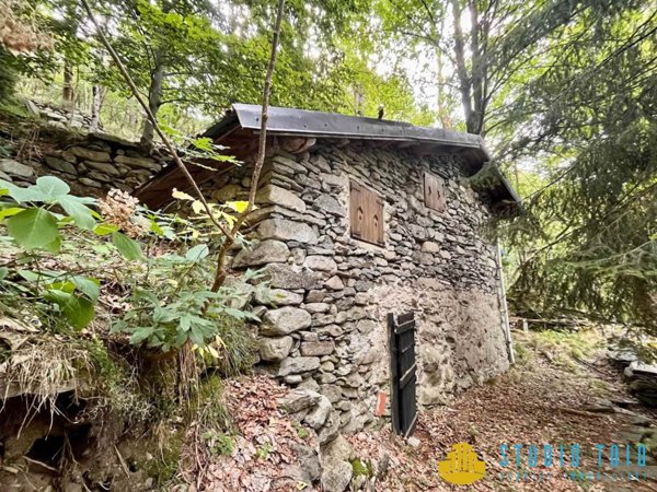 casa indipendente in vendita a Piedicavallo in zona Montesinaro