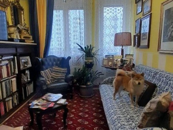appartamento in vendita ad Alessandria