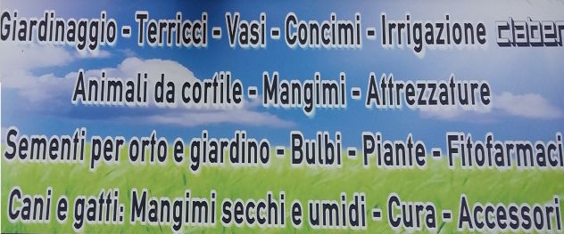 negozio in vendita ad Alessandria