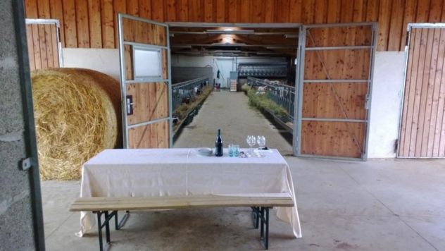 terreno agricolo in vendita ad Alessandria