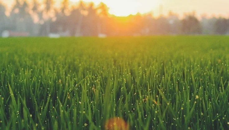 terreno agricolo in vendita ad Alessandria