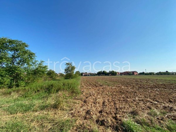terreno edificabile in vendita ad Alessandria in zona Spinetta Marengo