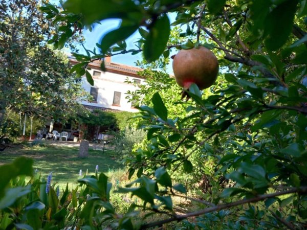 casa indipendente in vendita ad Alessandria
